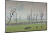 Australia, Victoria, Huon, Lake Hume with Forest Fire Smoke-Walter Bibikow-Mounted Photographic Print