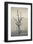 Australia, Victoria, Huon, Lake Hume with Forest Fire Smoke-Walter Bibikow-Framed Photographic Print