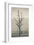 Australia, Victoria, Huon, Lake Hume with Forest Fire Smoke-Walter Bibikow-Framed Photographic Print