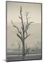 Australia, Victoria, Huon, Lake Hume with Forest Fire Smoke-Walter Bibikow-Mounted Photographic Print