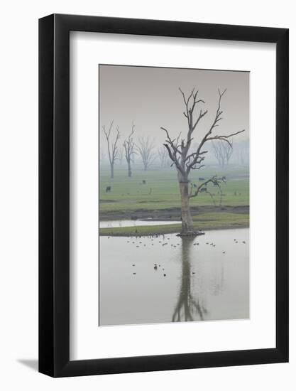 Australia, Victoria, Huon, Lake Hume with Forest Fire Smoke-Walter Bibikow-Framed Photographic Print