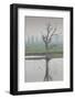 Australia, Victoria, Huon, Lake Hume with Forest Fire Smoke-Walter Bibikow-Framed Photographic Print