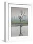 Australia, Victoria, Huon, Lake Hume with Forest Fire Smoke-Walter Bibikow-Framed Photographic Print