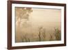 Australia, Victoria, Yarra Valley, Healesville, Field with Fog, Dawn-Walter Bibikow-Framed Photographic Print