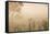 Australia, Victoria, Yarra Valley, Healesville, Field with Fog, Dawn-Walter Bibikow-Framed Stretched Canvas