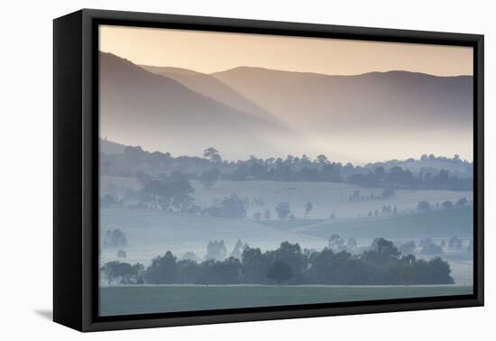 Australia, Victoria, Yarra Valley, Landscape, Dawn-Walter Bibikow-Framed Stretched Canvas