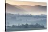 Australia, Victoria, Yarra Valley, Landscape, Dawn-Walter Bibikow-Stretched Canvas