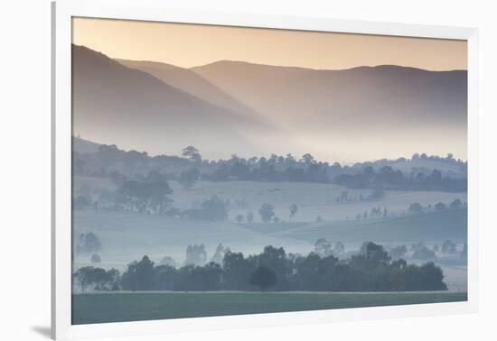 Australia, Victoria, Yarra Valley, Landscape, Dawn-Walter Bibikow-Framed Photographic Print