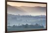 Australia, Victoria, Yarra Valley, Landscape, Dawn-Walter Bibikow-Framed Photographic Print