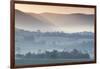 Australia, Victoria, Yarra Valley, Landscape, Dawn-Walter Bibikow-Framed Photographic Print