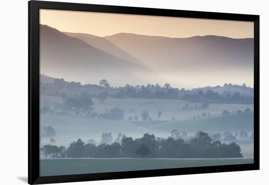 Australia, Victoria, Yarra Valley, Landscape, Dawn-Walter Bibikow-Framed Photographic Print