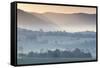 Australia, Victoria, Yarra Valley, Landscape, Dawn-Walter Bibikow-Framed Stretched Canvas