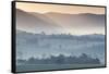 Australia, Victoria, Yarra Valley, Landscape, Dawn-Walter Bibikow-Framed Stretched Canvas