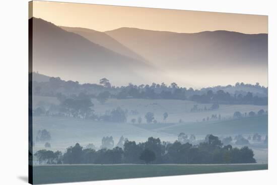 Australia, Victoria, Yarra Valley, Landscape, Dawn-Walter Bibikow-Stretched Canvas