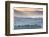 Australia, Victoria, Yarra Valley, Landscape, Dawn-Walter Bibikow-Framed Photographic Print