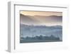 Australia, Victoria, Yarra Valley, Landscape, Dawn-Walter Bibikow-Framed Photographic Print