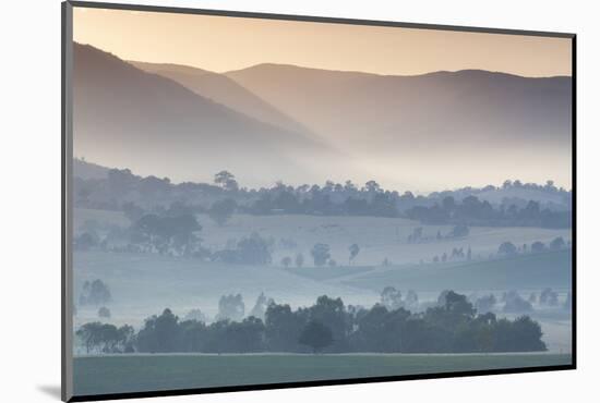 Australia, Victoria, Yarra Valley, Landscape, Dawn-Walter Bibikow-Mounted Photographic Print