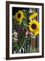 Australia, Victoria, Yarra Valley, Yering, Yarra Valley Dairy, Flowers-Walter Bibikow-Framed Photographic Print