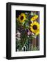 Australia, Victoria, Yarra Valley, Yering, Yarra Valley Dairy, Flowers-Walter Bibikow-Framed Photographic Print