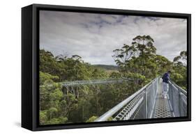 Australia, Walpole Nornalup, Valley of the Giants Tree Top Walk-Walter Bibikow-Framed Stretched Canvas
