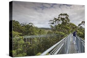 Australia, Walpole Nornalup, Valley of the Giants Tree Top Walk-Walter Bibikow-Stretched Canvas