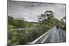 Australia, Walpole Nornalup, Valley of the Giants Tree Top Walk-Walter Bibikow-Mounted Photographic Print