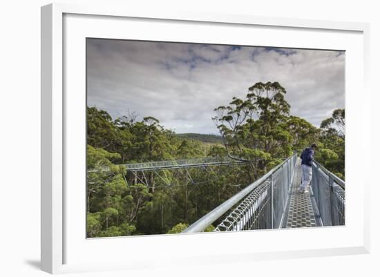 Australia, Walpole Nornalup, Valley of the Giants Tree Top Walk-Walter Bibikow-Framed Photographic Print