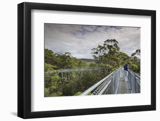 Australia, Walpole Nornalup, Valley of the Giants Tree Top Walk-Walter Bibikow-Framed Premium Photographic Print