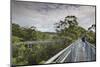 Australia, Walpole Nornalup, Valley of the Giants Tree Top Walk-Walter Bibikow-Mounted Premium Photographic Print