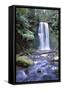 Australia Waterfall in the Otway National Park-null-Framed Stretched Canvas