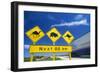 Australia-null-Framed Photographic Print