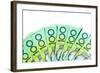 Australian $100 Bills-Robyn Mackenzie-Framed Photographic Print