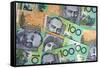 Australian 100 Dollar Bills-Neale Cousland-Framed Stretched Canvas