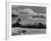 'Australian Alps'-null-Framed Photographic Print