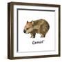Australian Animals Watercolor Illustration Hand Drawn Wildlife Isolated on a White Background. Womb-Kat_Branch-Framed Art Print