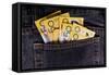 Australian Bank Notes-Neale Cousland-Framed Stretched Canvas