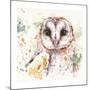 Australian Barn Owl-Sillier than Sally-Mounted Giclee Print