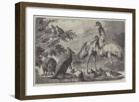 Australian Birds and Animals Presented by the Duke of Edinburgh to the Prince of Wales-Samuel John Carter-Framed Giclee Print