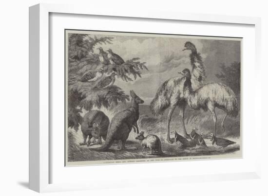 Australian Birds and Animals Presented by the Duke of Edinburgh to the Prince of Wales-Samuel John Carter-Framed Giclee Print