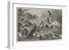 Australian Birds and Animals Presented by the Duke of Edinburgh to the Prince of Wales-Samuel John Carter-Framed Giclee Print