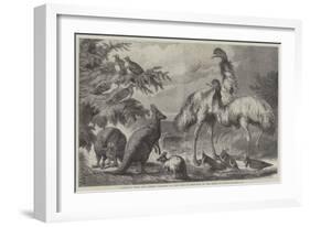 Australian Birds and Animals Presented by the Duke of Edinburgh to the Prince of Wales-Samuel John Carter-Framed Giclee Print