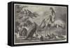 Australian Birds and Animals Presented by the Duke of Edinburgh to the Prince of Wales-Samuel John Carter-Framed Stretched Canvas