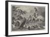 Australian Birds and Animals Presented by the Duke of Edinburgh to the Prince of Wales-Samuel John Carter-Framed Giclee Print