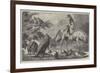 Australian Birds and Animals Presented by the Duke of Edinburgh to the Prince of Wales-Samuel John Carter-Framed Giclee Print