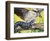 Australian Blue-Tongued Skink (Tiliqua Scincoides), Scincidae-null-Framed Giclee Print