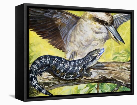 Australian Blue-Tongued Skink (Tiliqua Scincoides), Scincidae-null-Framed Stretched Canvas