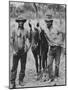 Australian Cowboys-George Silk-Mounted Photographic Print