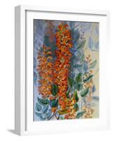 Australian Flower-Marian Ellis Rowan-Framed Giclee Print