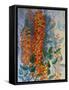 Australian Flower-Marian Ellis Rowan-Framed Stretched Canvas