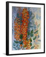 Australian Flower-Marian Ellis Rowan-Framed Giclee Print